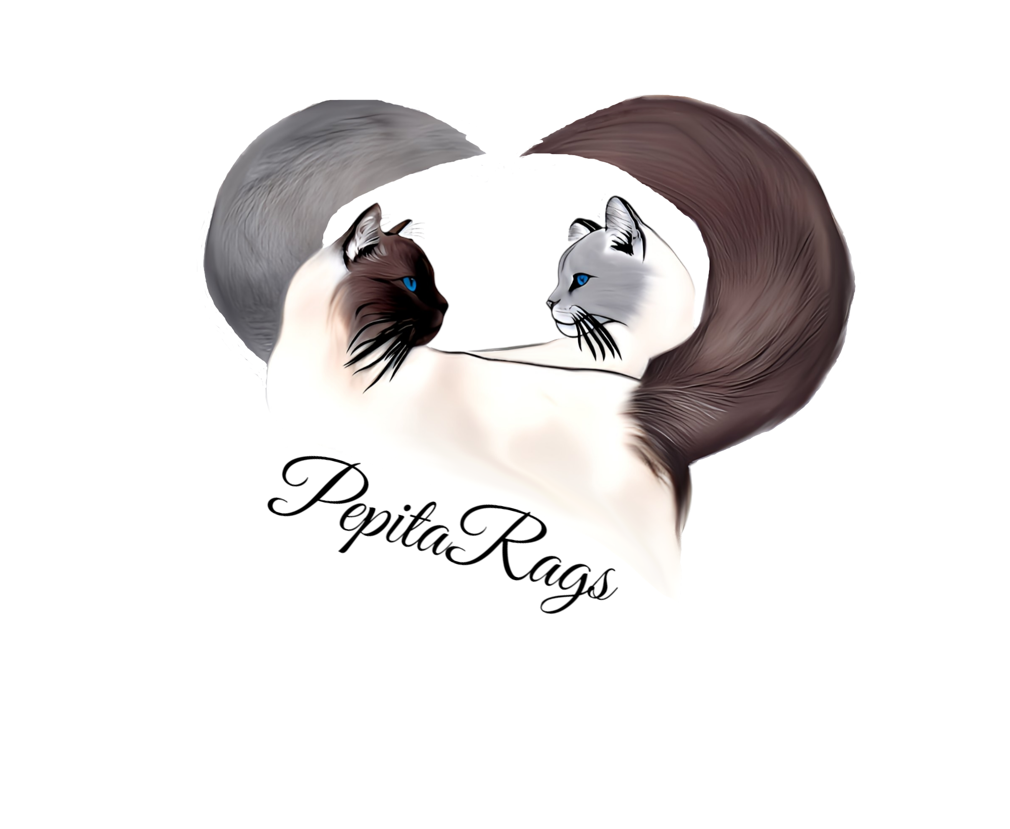 about-04 PEPITARAGSPNG Retouche 5