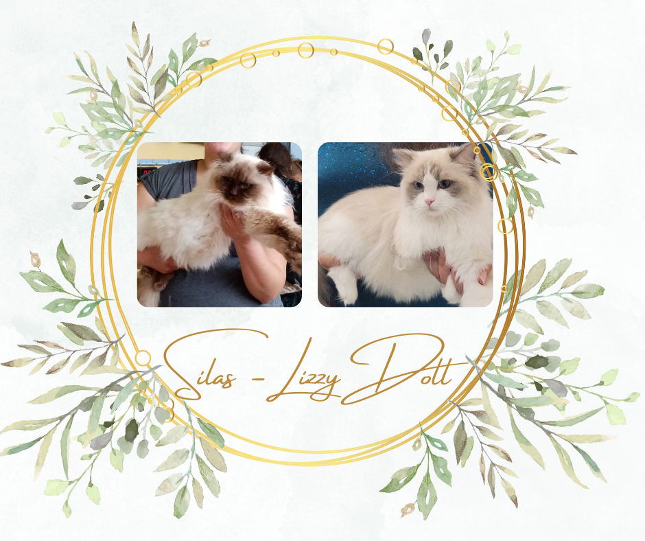 silas et lizzydoll mariage