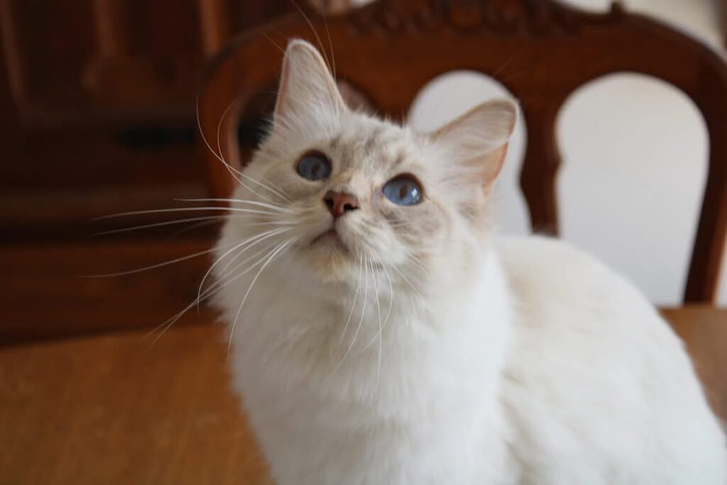 fb img 1743699910225 (1)